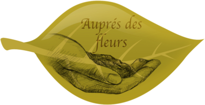 Logo Fleuriste bouquetière naturelle - Le Boulou