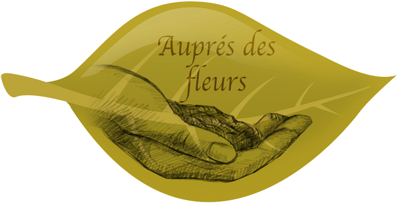 Logo Fleuriste bouquetière naturelle - Le Boulou